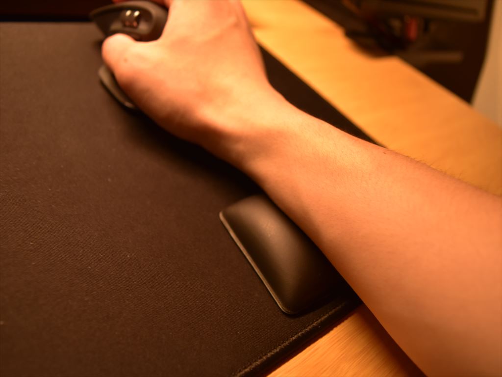 エレコム FITTIO ショート使用例